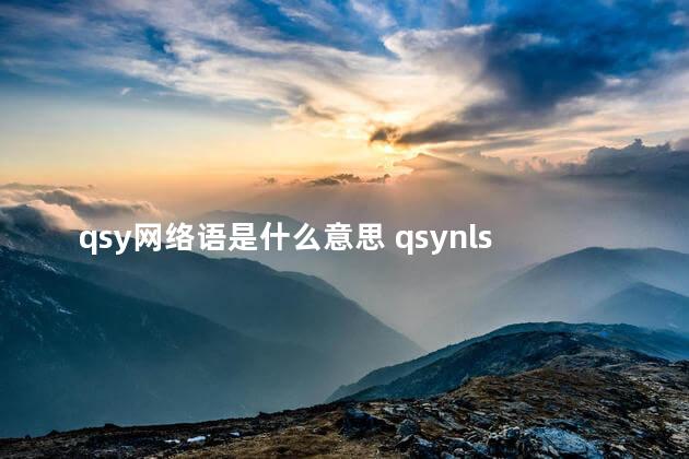 qsy网络语是什么意思 qsynls0001是纯粮酒吗